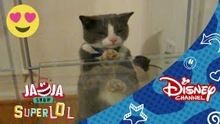 JaJa Show: Muy Gatos | Disney Channel Oficial