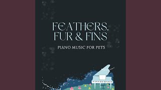 Evening Cuddle with Piano's Harmony