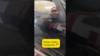 Мазда трибут не работает спидометр
