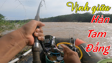 Buổi chiều săn cá may mắn ở Hàn Tam Đẳng ✅