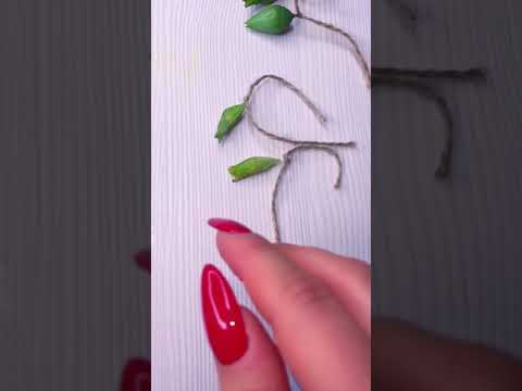 Выращиваю бабочек дома #бабочкарий #бабочка бабочки #shorts #лайфхак #куклы трикота #мульт смирнова