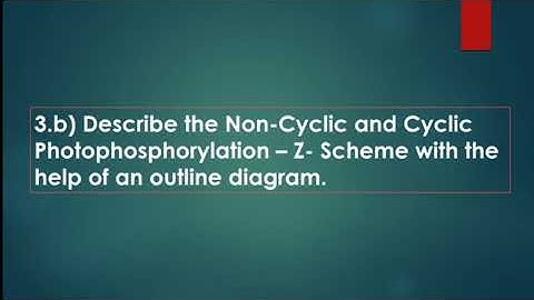BBYCT-137 Solved Assignment 2020-21 | Plant Physiology and metabolism| IGNOU SOLVED ASSIGNMENT| BSCG