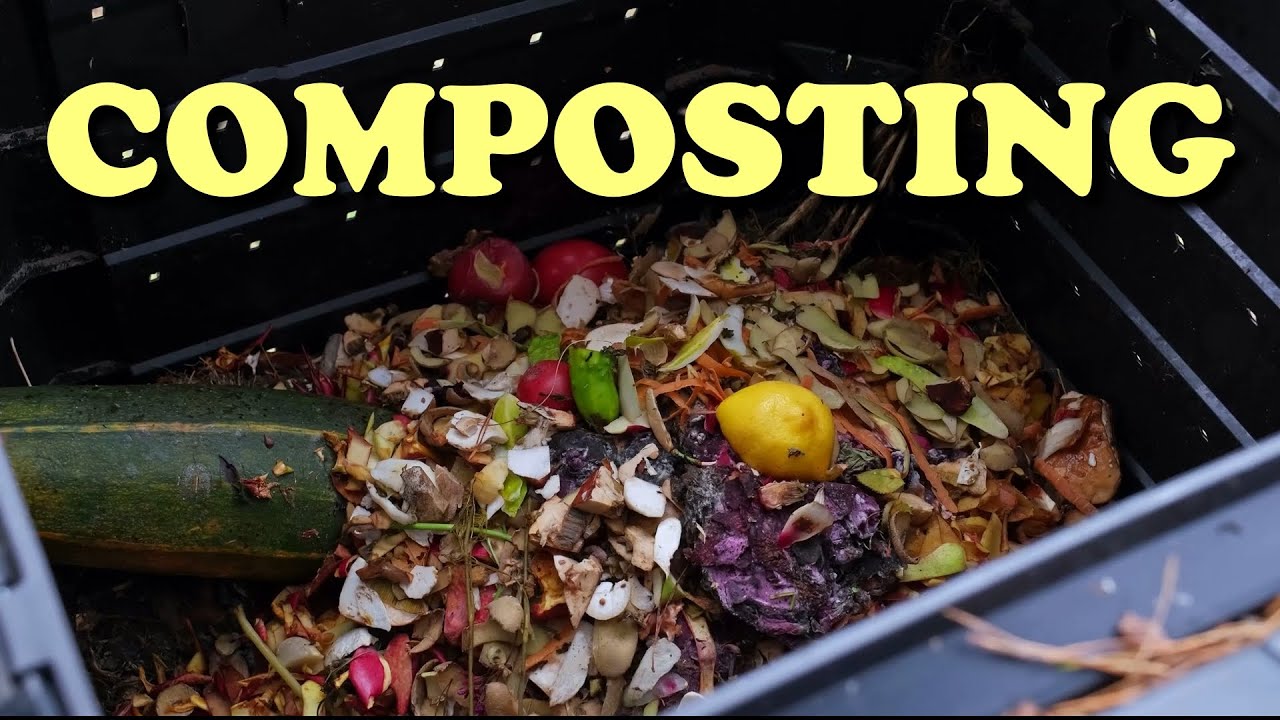 Week 11 | How to Start Composting | 52 Weeks of Gardening - YouTube