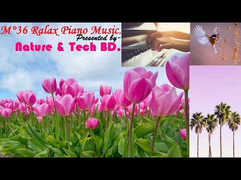 M°36 Relax Piano music.৥ Elegant soothing