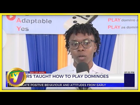 Toddlers Taught How to Play Dominoes | TVJ News