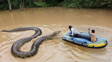 Anaconda Snake Attack Boys In Forest | An Anaconda Snake Attack Brief Story 26