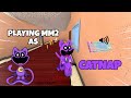 CATNAP DESTROYS TEAMERS IN MM2 + GAMEPLAY (KEYBOARD ASMR)