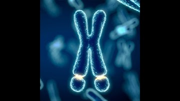 New gene-editing method flags fragile X mutation for repair