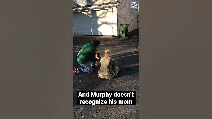 Dog leaps into owner’s arms when he realizes she’s finally home again 🥺❤️
