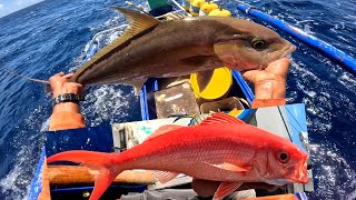 Amberjack, Snapper, Tuna, Sailfish and Blue Marlin Highlights | Episode 19