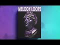 Free download sample pack royalty free melody loops  vol159