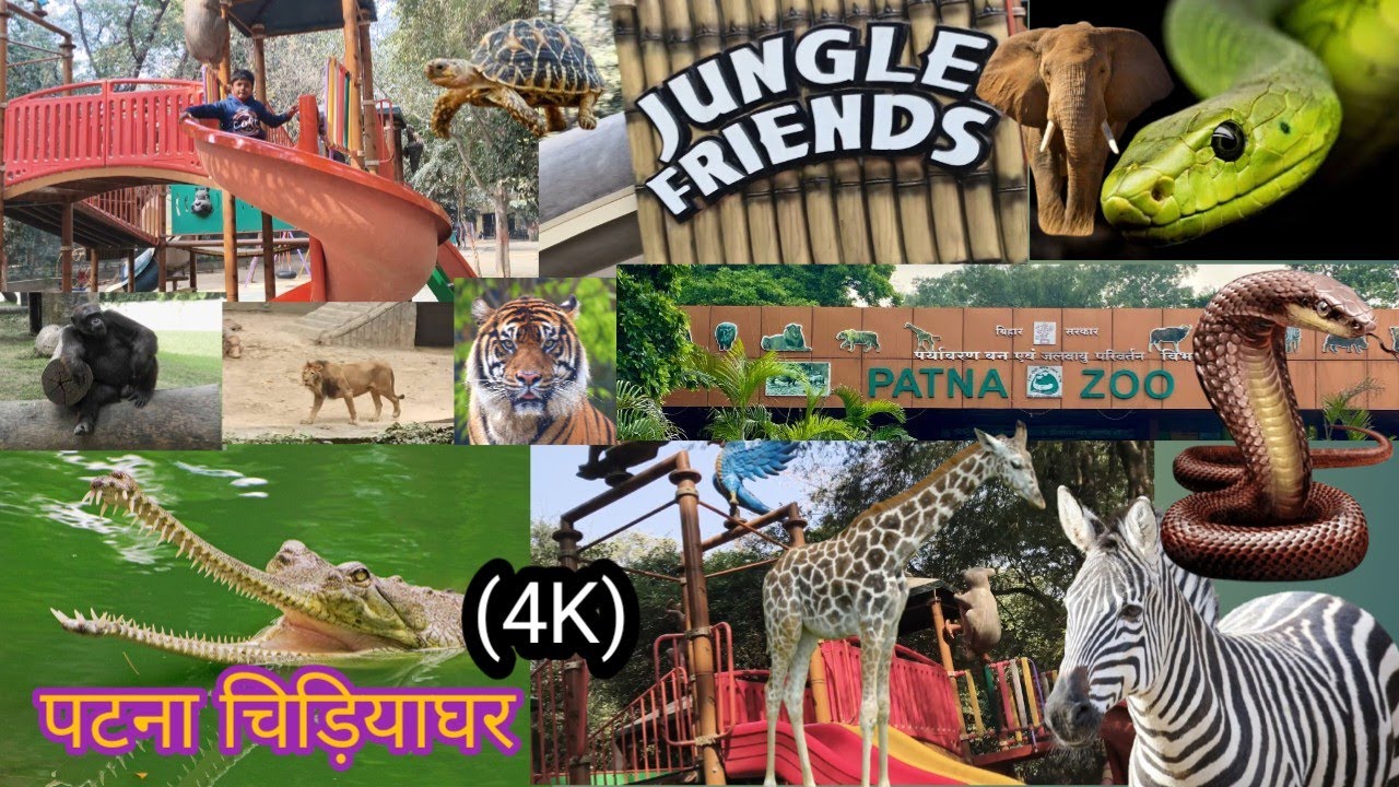 पटना चिड़ियाघर | Patna Zoo | Patna Ka Zoo |Patna Zoo Ghar 2026 | Sanjay Gandhi Biological Park |