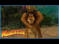 DreamWorks Madagascar | Alex&#39;s Apology To Marty | Madagascar: Escape 2 Africa Movie Clip