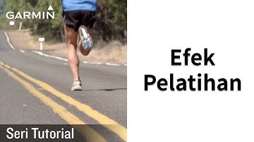 Tutorial - Efek Pelatihan