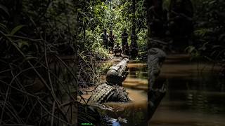 Tni Members Wearing Crocodile Camouflage Are Confronted By Kkbshorts viral tni