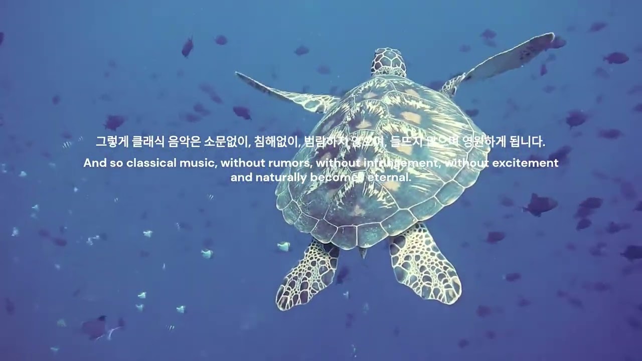 climate crisis Please ACT now Violin Jueun KIM - Initiative - The Legend of Labyrinth 바이올린 김주은