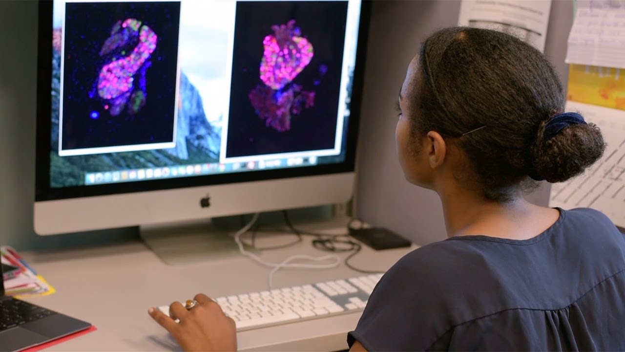 Neuroplasticity and Systems Biology Lab - Dr. Benjamin Harrison's Research at UNE