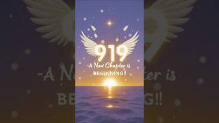 Angel Number 919 – A New Chapter is Beginning ✨#spiritualawakening #divineguidance #angelnumber Profile