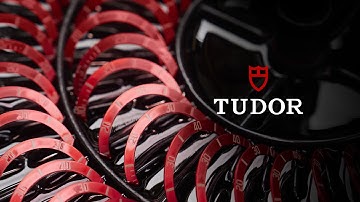 TUDOR Black Bay Savoir Faire - Bezel