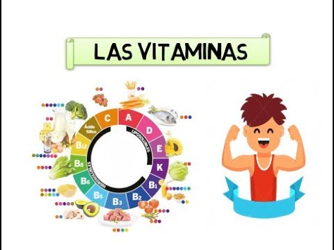 Las Vitaminas // que son? - Clasificación - Tipos - Funciones ...