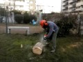 Fabricación macetero de tronco con motosierra