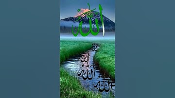 سورة الكهف/القران الكريم بصوت الحاج عامر الكاظمي//اللهم صلى وسلم على سيدنا محمد