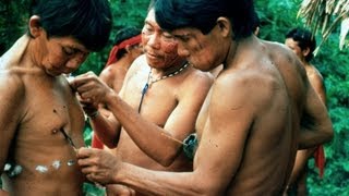 AMAZONIA: LAST CALL AMAZONIA: LAST CALL
