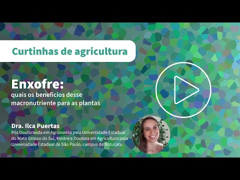 Enxofre: conheça os benefícios desse macronutriente para as plantas