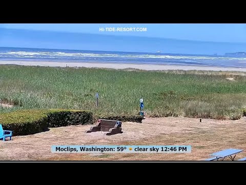 Caméra PTZ sur une plage du Pacifique Nord Diffusion en direct