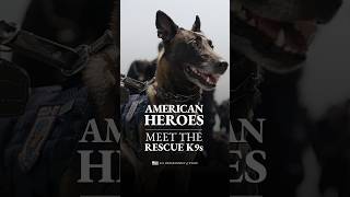 Meet the K9s who make every rescue mission possible 🐾🇺🇸