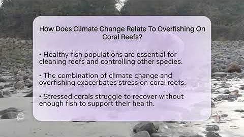 How Does Climate Change Relate To Overfishing On Coral Reefs? - Ecosystem Essentials
