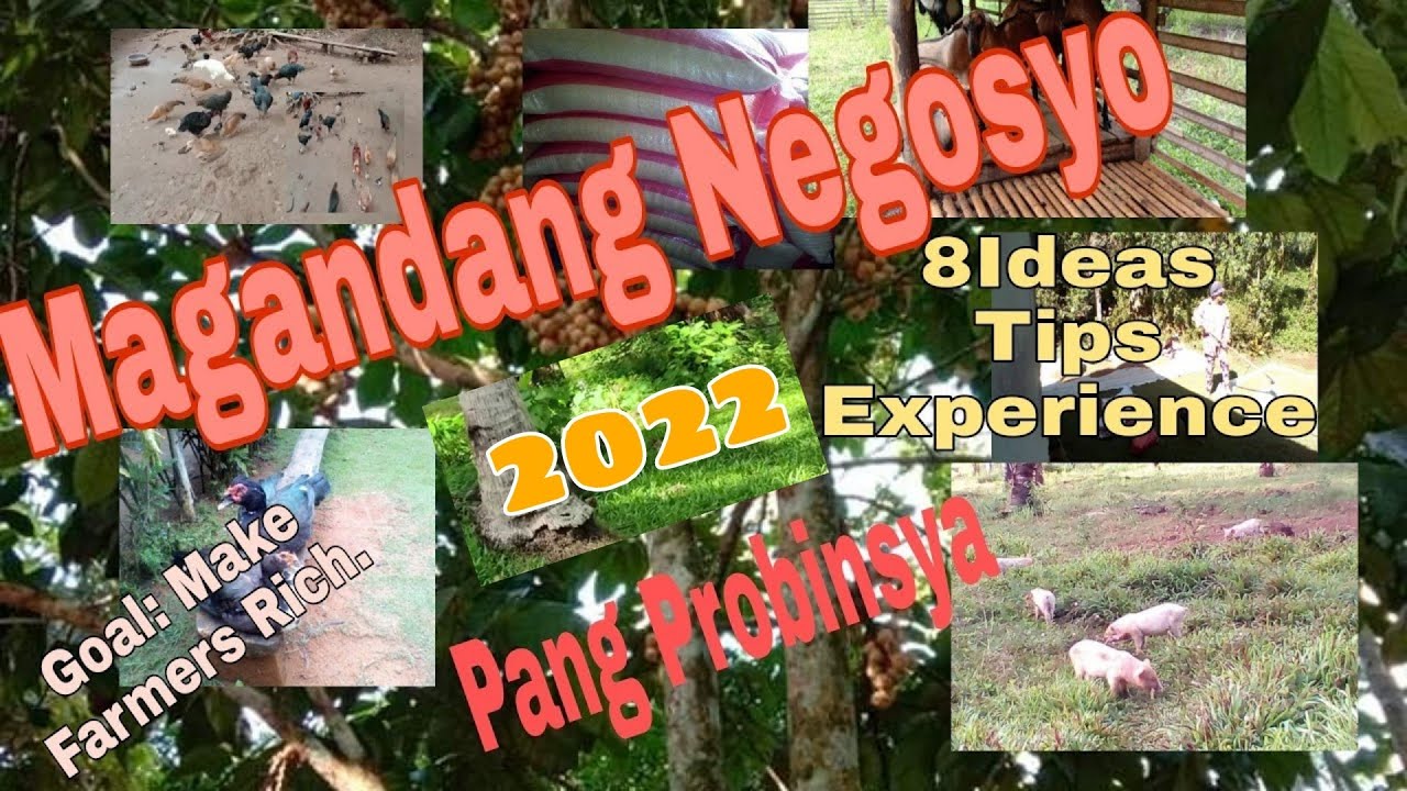8 Business Ideas Tips and Experience for Farmers in Philippines