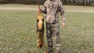 COYOTE HUNTING WITH A 6.5 CREEDMOOR ( MY FIRST COYOTE DOWN!!)