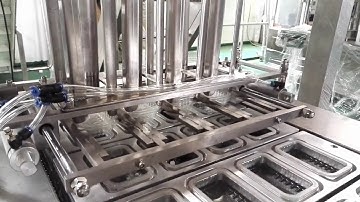 Multihead Weigher Tray packing machine