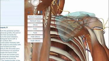 Visible Body Enhanced: Long Tutorial