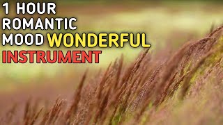 1 Hour Romantic Mood Wonderful Instrument | Feather Wind Motion Grass | Guitar Instrument Music
