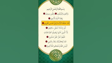 محمد الفقية - سورة التين