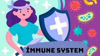 Methods to Strengthen Your Immune System. Nutrition in corona. Immune system. Health Videos