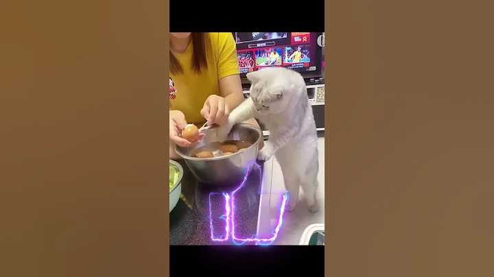 😂Funniest Cats and Dogs! 😍Best Animal Videos! 🤣#shorts #viral #comedy #cat #dog 🤩