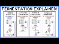 Respiration and Fermentation Quiz