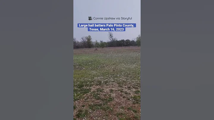 Texas hail leads woman to say “Holy Macaroni” | #shorts #newvideo #trending #youtube #subscribe