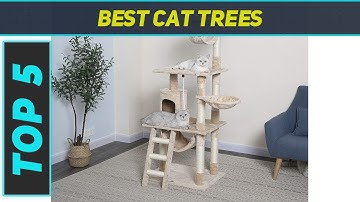 Top 5 Best Cat Trees in 2023