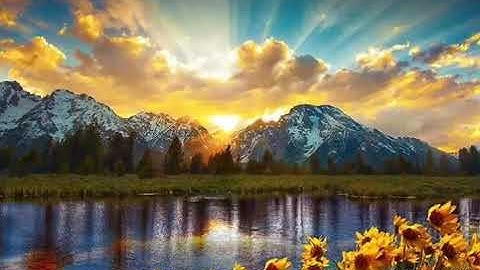 تلاوة قرانية هادئة سورة القيامة بصوت القارئ احمد كمال