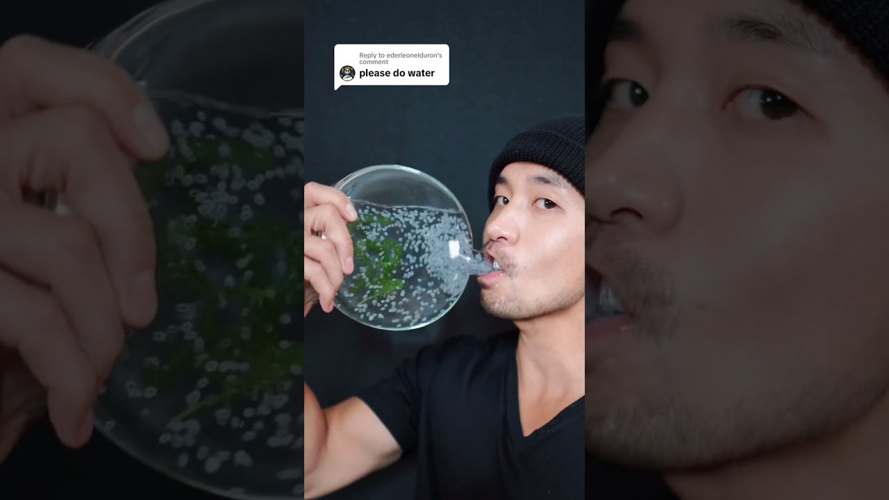 More Frog Eggs Asmr Sleep