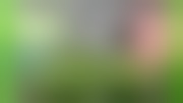 Autoflower Power, Stop the Stank!!  Controlling Odor with VIVOSUN, 6” Carbon Filter @Vivosun