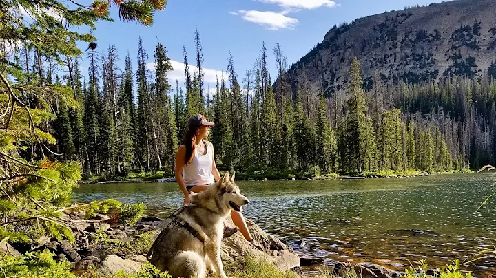 陪伴Link宝宝走过癌症的六个月🐾一场彻底改变我生命的爱的旅程💕 - 天天要闻