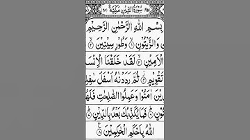 Surah at Tin | Qari Yasser al Dosari | سورة التين |