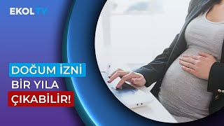 Doğurganlık Hızı Düştü, Doğum Teşviği Planı Başladı!