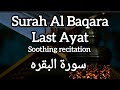Surah Al Baqarah Last Ayat Beautiful Soothing Recitation سورة البقرة آخر آية 