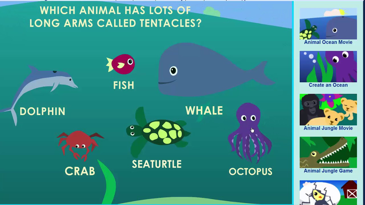 Animal Ocean Game - Learn about animals in the ocean! - Sheppard